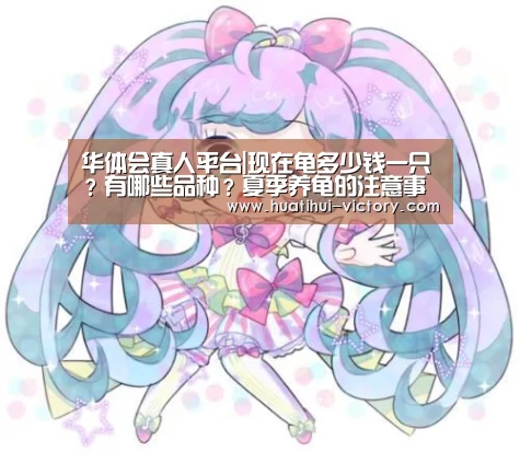 华体会真人平台|现在龟多少钱一只?有哪些品种?夏季养龟的注意事项(图3) 华体会体育平台