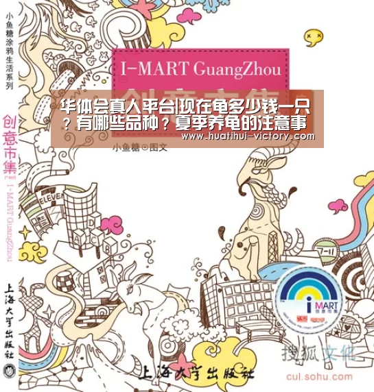 华体会真人平台|现在龟多少钱一只?有哪些品种?夏季养龟的注意事项(图4) 华体会体育竞猜
