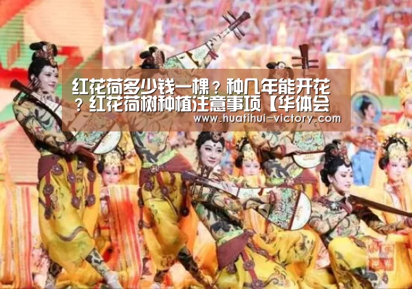 华体会娱乐平台