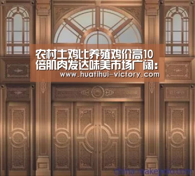 农村土鸡比养殖鸡价高10倍肌肉发达味美市场广阔:华体会体育竞猜(图3) 华体会体育平台