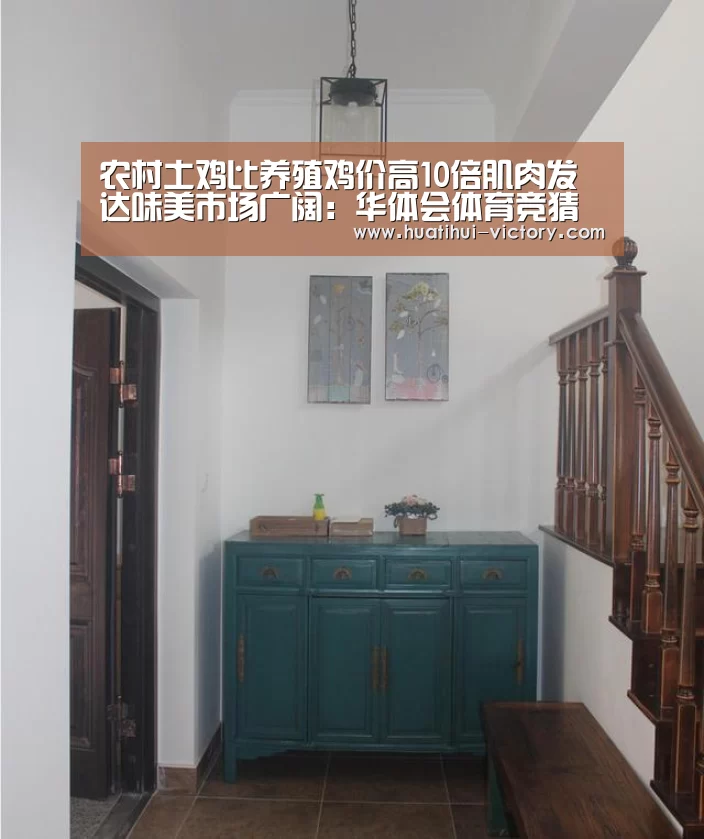 农村土鸡比养殖鸡价高10倍肌肉发达味美市场广阔:华体会体育竞猜(图1) 华体会体育平台