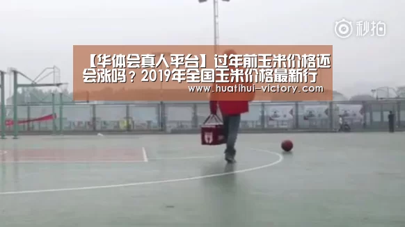 【华体会真人平台】过年前玉米价格还会涨吗