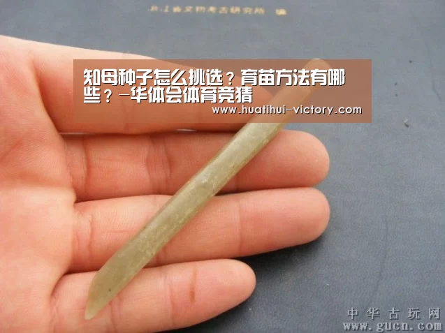 华体会真人平台