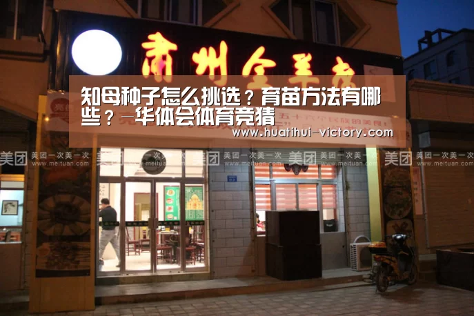 华体会娱乐平台